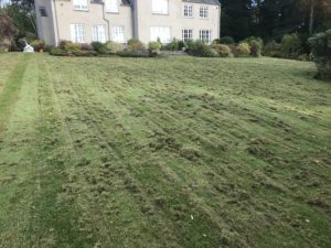 Scarifying