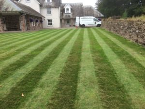 Natural Lawncare